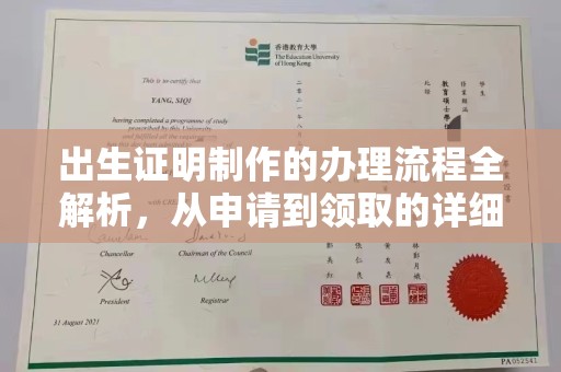 阳明出生证明制作的办理流程全解析，从申请到领取的详细指南